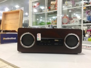 Loa Nghe Nhạc Aibo PN-08, công suất 8W, Hỗ trợ thẻ nhớ, USB, FM... - MSN181199