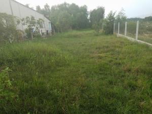 Đất Nền Củ Chi Giá Rẻ Chính Chủ