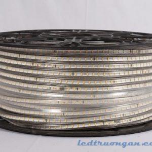 LED cuộn 3014