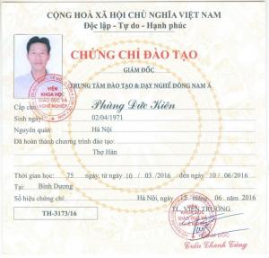 Đào Tạo Cấp Chứng Chỉ Xe Nâng Tại Hải Phòng