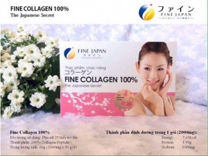 Fine Collagen 100%