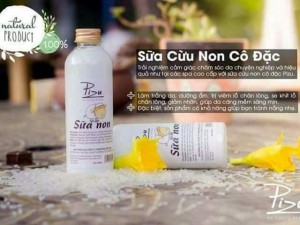 Sữa cừu non