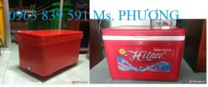 Thùng đá ướp lạnh công nghiệp 800l giá cạnh tranh