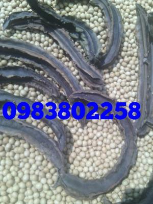 Hạt Đậu rồng Già 200k