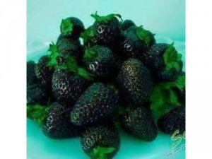 Hạt dâu tây