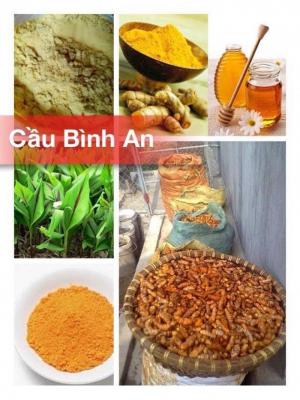 Tinh bột nghệ
