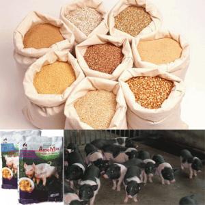 Phụ gia sản xuất thức ăn chăn nuôi|EXCENTIAL AQUA-PH - HỖ TRỢ TIÊU HOÁ & HẤP THU CHẤT DINH DƯỠNG