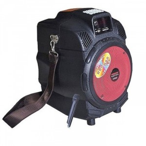Bạn đang cần một loại loa tập thể dục buổi sáng? một chiếc loa mini nhỏ để nghe nhạc, ca hát vui khi picnic? không biết loa mini nào rẻ mà giá cả phải chăng ?