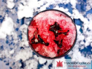 Nước cốt kèm đài hoa Hibiscus - Atiso đỏ - Bụp giấm