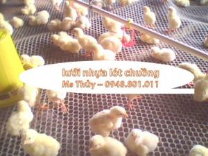 Lưới nhựa cứng chăn nuôi gà vịt, lót sàn vật nuôi rất bền