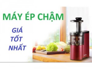 Máy ép hoa quả chậm SAVTM