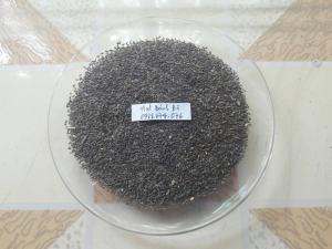 Hạt giống Cát sâm uy tín nhất