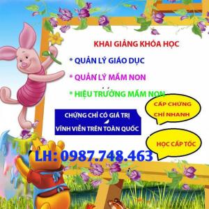 Tại Sao Cần Có Chứng Chỉ Quản Lý Mầm Non Cho Các Chủ Trường Mầm Non Hay Các Nhóm Lớp Trẻ Tư Thục???