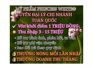 Tuyển Chi Nhánh, Khách sỉ, Npp, Đại Lí, Ctv.