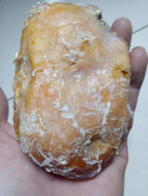 Cần bán cục kê bảo