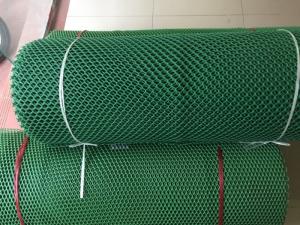 Cung cấp lưới nhựa cứng quây gà vịt , lót sàn cho gia súc vât nuôi trong