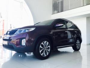 Xe Kia Sorento ''Yêu từ lần đầu gặp gỡ''