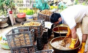Chuyên Sỉ Tinh Bột Nghệ Nguyên Chất