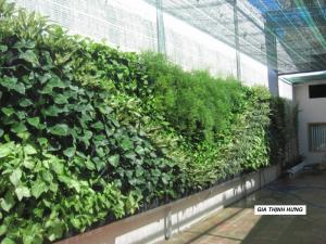 Thiết kế thi công vườn tường cây xanh, sân vườn, tiểu cảnh với hệ thống tưới tự động