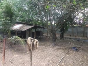Cho thuê trang trại heo 12.000m2, Nguyễn Thị Rành, Xuận Đức, Củ Chi