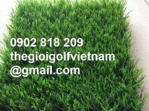 Cỏ nhân tạo trang trí văn phòng, thảm cỏ trải sàn