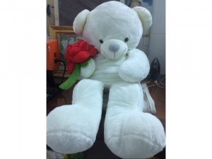 Thanh lý gấu 1m8 nhập