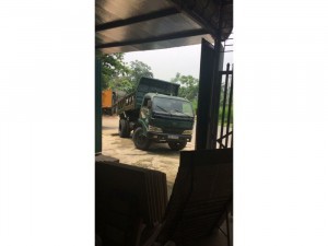 Hoa Mai 3,5 tấn
