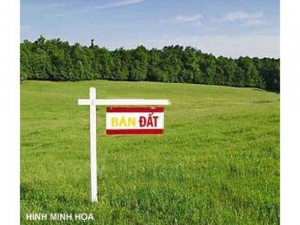 Cần bán gần 4000m2 đất
