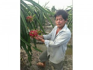 Chuyên phân phối sỉ lẻ phân bón sinh học