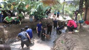 Tour Tiền Giang - Bến Tre tát mương bắt cá - DL Việt Nhật