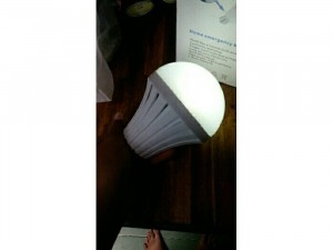 Bóng Đèn LED Tích Điện 12W