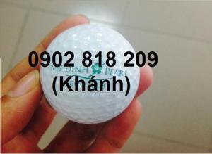 Cung cấp bóng golf và in logo lên bóng golf làm quà tặng