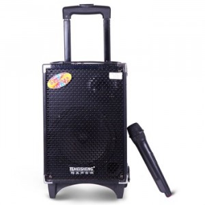 MÁY TRỢ GIẢNG LOA KÉO TEMEISHENG Q8
