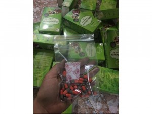 Hỗ Trợ Giảm Cân Tiến Hạnh