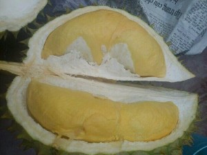 Sầu riêng