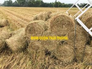 Thu mua rơm cuộn