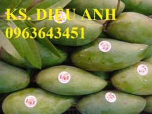 Mua cây giống xoài Thái, cây giống xoài chuẩn ở đâu?
