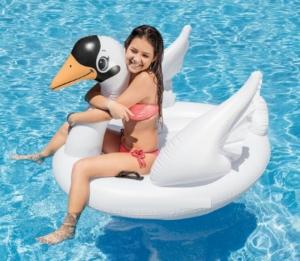 Phao bơi thiên nga trắng kiêu sa thiếu niên INTEX