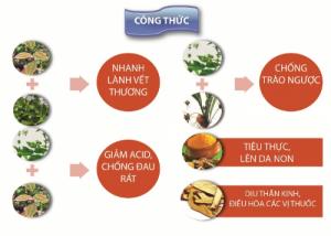 Giảm trào ngược thực quản, dạ dày nhờ Tuệ Đức Hoàn Nguyên Vị