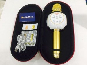 VUA MICRO Hát KARAOKE Bluetooth Anysing ZBX-69 Hút Âm Chuẩn, Âm Thanh Ấm Cực Hay - MSN383210