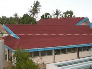 Tấm lợp sinh thái nhập khẩu châu âu