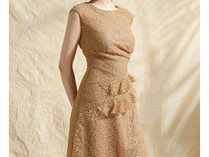 Đầm Ren Chữ A Cao Cấp Bèo Eo 865