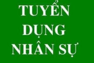 Nhân viên văn phòng