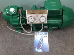 Cần bán rẻ 2 máy bơm Azcue chưa qua sử dụng