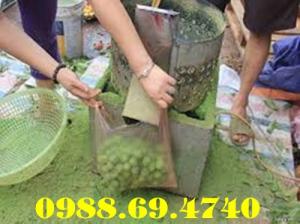 Máy cạo vỏ sấu siêu rẻ giá 2 triệu