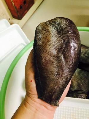 Cá sặc một nắng ngon MêLy