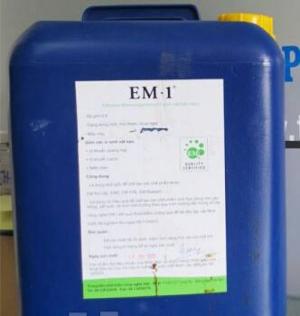 Em gốc việt nhật