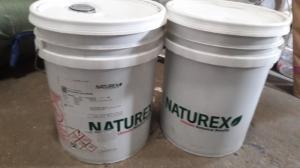 Yucca naturex