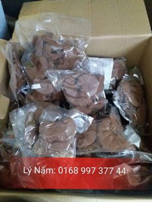 Nấm Linh Chi Đỏ Việt Nam- TPHCM