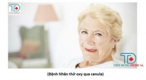 Thuê Bình Oxy Y Tế